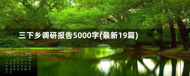 三下乡调研报告5000字(最新19篇)