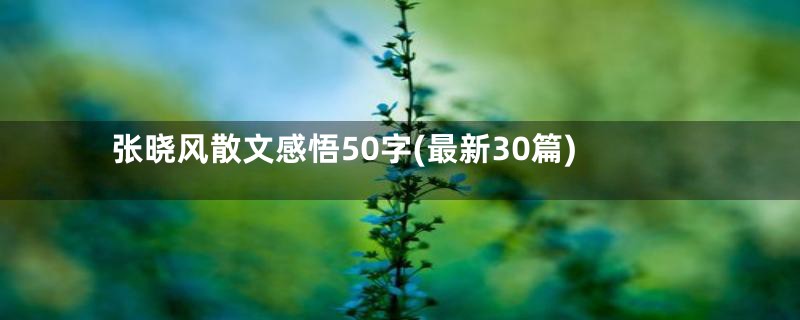 张晓风散文感悟50字(最新30篇)