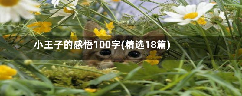 小王子的感悟100字(精选18篇)