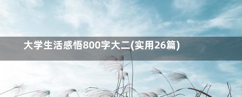 大学生活感悟800字大二(实用26篇)