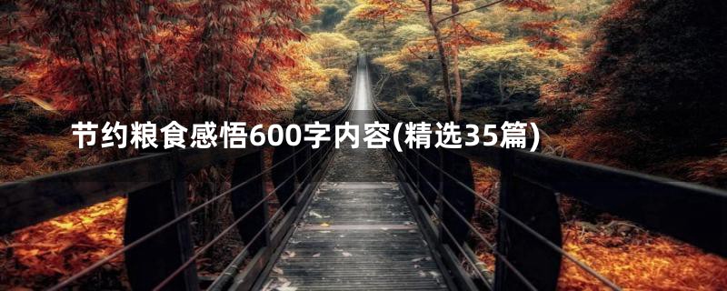 节约粮食感悟600字内容(精选35篇)