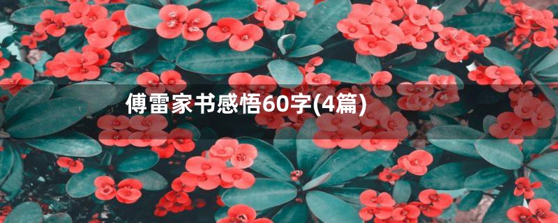 傅雷家书感悟60字(4篇)