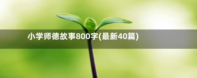 小学师德故事800字(最新40篇)