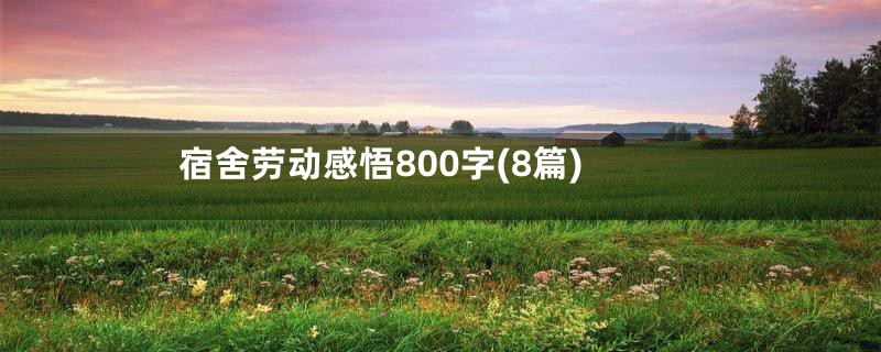 宿舍劳动感悟800字(8篇)