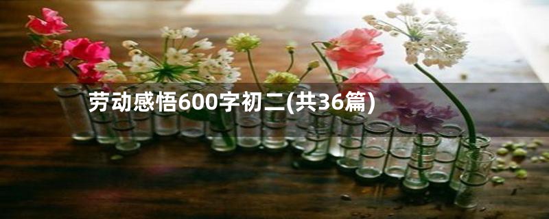 劳动感悟600字初二(共36篇)