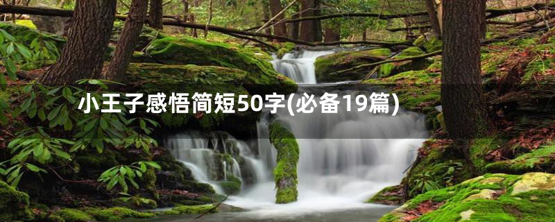 小王子感悟简短50字(必备19篇)