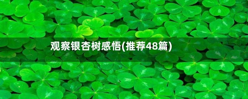 观察银杏树感悟(推荐48篇)