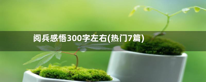 阅兵感悟300字左右(热门7篇)